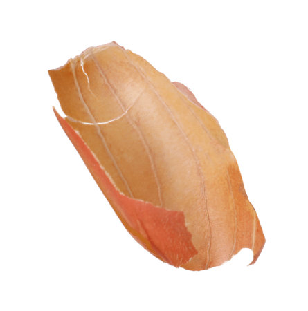 Seed coat of peanut isolated on white