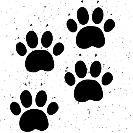 Dog paw prints on white background, illustrationの写真素材