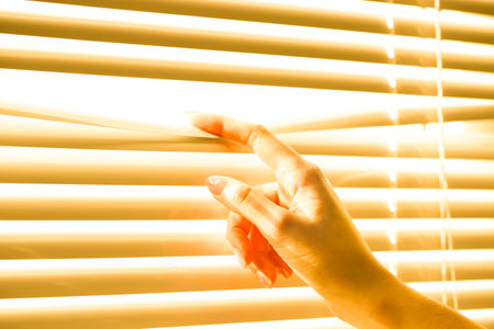 Woman separating slats of white blinds indoors, closeupの写真素材