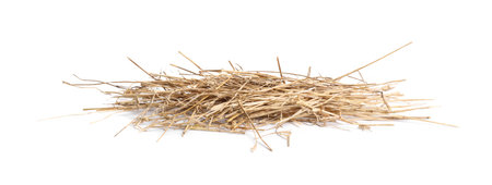 Dried straw isolated on white. Livestock feed