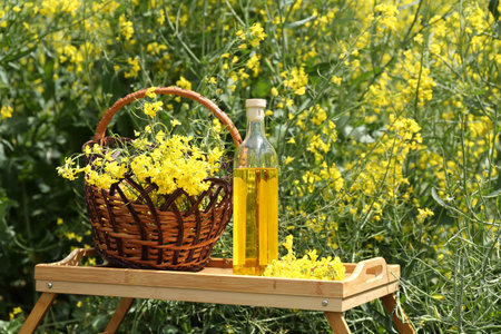 Rapeseed oil and basket with flowers in fieldの写真素材