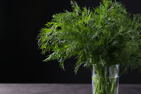 Fresh dill in glass on gray table against black background, closeup. Space for textの写真素材