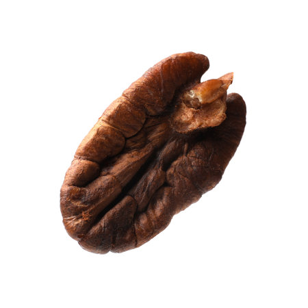 One tasty pecan nut isolated on white