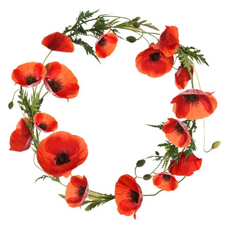 Wreath of beautiful wild flowers isolated on whiteの写真素材
