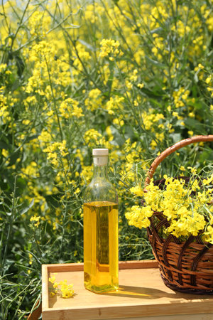 Rapeseed oil in bottle and basket with flowers on tray outdoors, closeupの写真素材