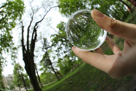Beautiful green trees outdoors, overturned reflection. Man holding crystal ball in park, closeup....