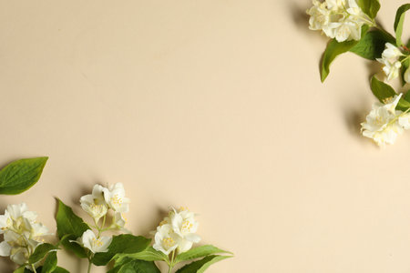 Aromatic jasmine flowers and green leaves on beige background, flat lay. Space for textの写真素材