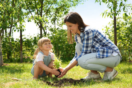 Mother and her daughter planting tree together in gardenの写真素材