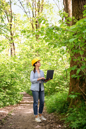 Forester with laptop examining plants in forestの写真素材