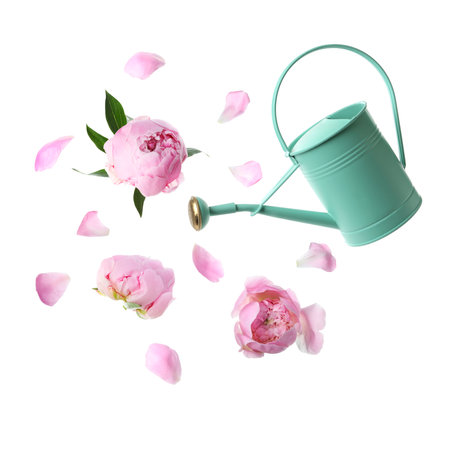 Watering can and pink peonies in the air on white backgroundの写真素材