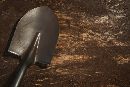 Metal shovel with fertile soil on dirty wooden surface, top view. Space for text