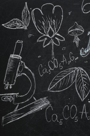 Chemical formulas and different pictures drawn on blackboardの写真素材
