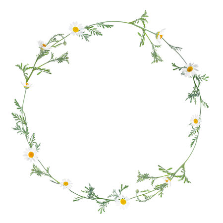 Wreath of beautiful wild flowers isolated on whiteの写真素材