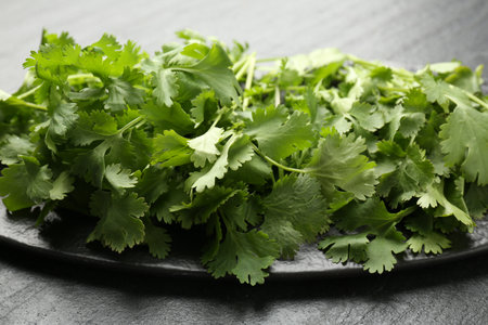 Fresh coriander on dark gray table, closeup