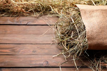 Burlap sack with dried hay on wooden table. Space for textの写真素材