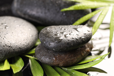 Wet spa stones and palm leaves in water on light background, closeupの写真素材