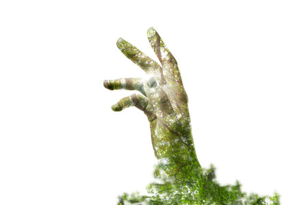 Double exposure of woman and tree with green leaves on white background, closeupの写真素材