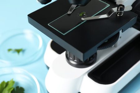 Food quality control. Glass slide with parsley under microscope on table, closeupの写真素材