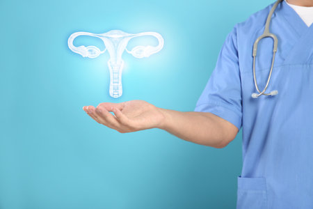 Doctor and illustration of female reproductive system on light blue background, closeupの写真素材