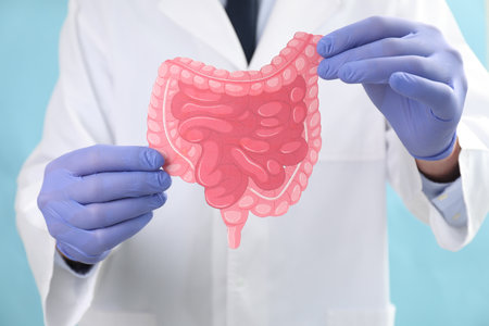 Doctor with paper intestine cutout on light blue background, selective focusの写真素材