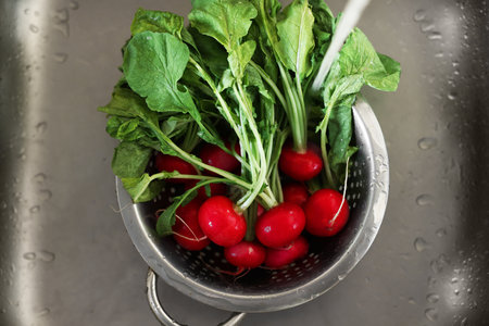Pouring tap water into colander with radish in sink, top viewの写真素材