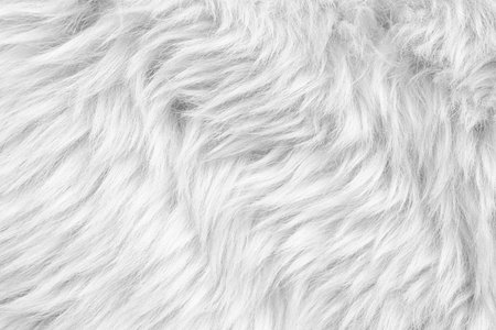 Texture of white faux fur as background, closeupの写真素材