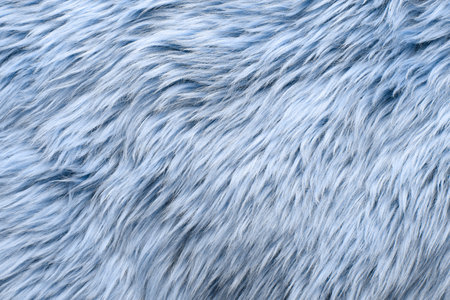 Texture of light blue faux fur as background, closeupの写真素材