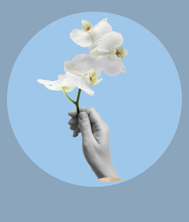 Woman holding orchid flowers in hand on light blue background. creative art designの写真素材