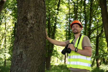 Forester with binoculars examining tree in forest