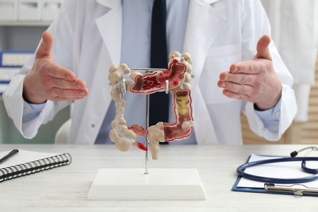 Doctor showing model of large intestine at white wooden table in clinic, closeupの写真素材