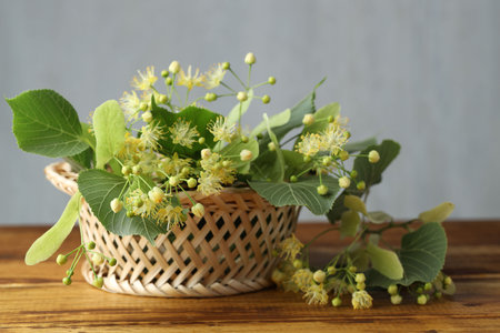 Fresh linden leaves and flowers on wooden tableの写真素材