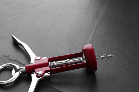 One wing corkscrew on gray textured table, closeup