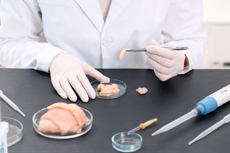 Quality control. Food inspector examining meat in laboratory, closeupの写真素材