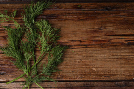 Sprigs of fresh green dill on wooden table, top view. Space for textの写真素材