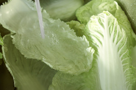 Pouring tap water on Chinese cabbage leaves in sink, closeupの写真素材