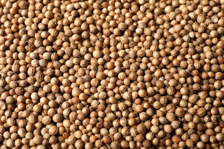 Dried coriander seeds as background, top viewの写真素材