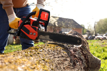 Man sawing wooden log on sunny day, closeup