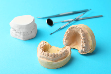 Dental models with gums and dentist tools on light blue background. Cast of teethの写真素材