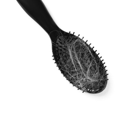 Brush with lost hair isolated on white, top view