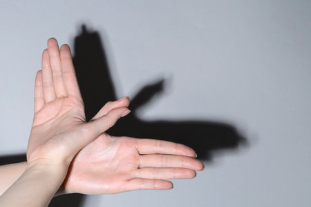 Shadow puppet. Woman making hand gesture like bird on light background, closeupの写真素材