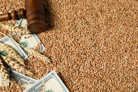Dollar banknotes, wooden gavel and wheat ears on grains, closeup. Agricultural businessの写真素材