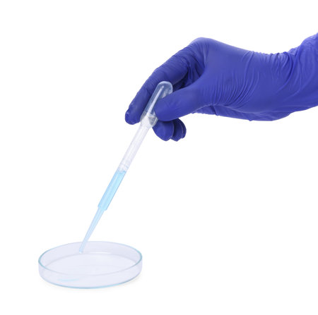Scientist dripping liquid from pipette into petri dish on white background, closeupの写真素材