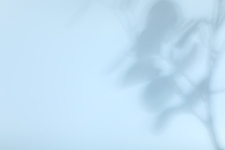 Presentation of product. Shadows of plants falling on light blue background. Space for text