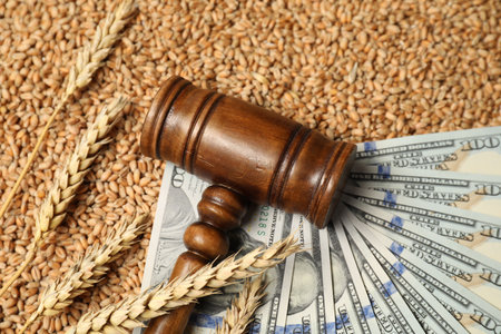 Dollar banknotes, wooden gavel and wheat ears on grains, above view. Agricultural businessの写真素材