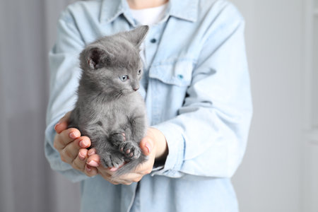 Woman with cute fluffy kitten indoors, closeupの写真素材
