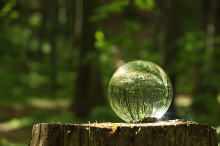 Green trees outdoors, overturned reflection. Crystal ball on stump in forest. Space for textの写真素材