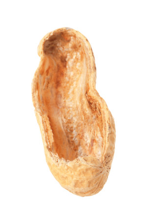 Broken raw peanut pod isolated on whiteの写真素材