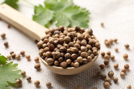 Spoon with dried coriander seeds and green leaves on light cloth, closeupの写真素材