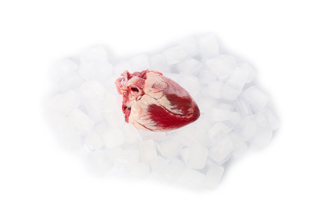 Heart and ice cubes on white background, top viewの写真素材