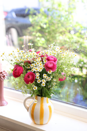 Beautiful ranunculus flowers and chamomiles in vase on windowsill indoorsの写真素材